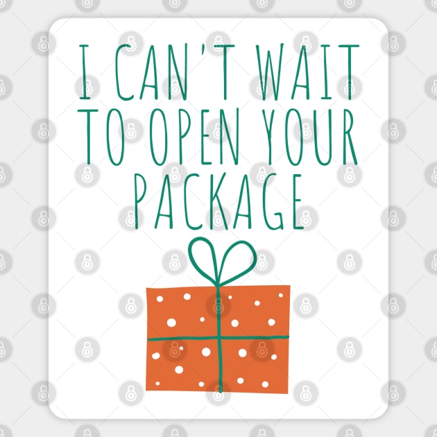 Christmas Humor. Rude, Offensive, Inappropriate Christmas Design. I Can't Wait To Open Your Package In Green Magnet by That Cheeky Tee